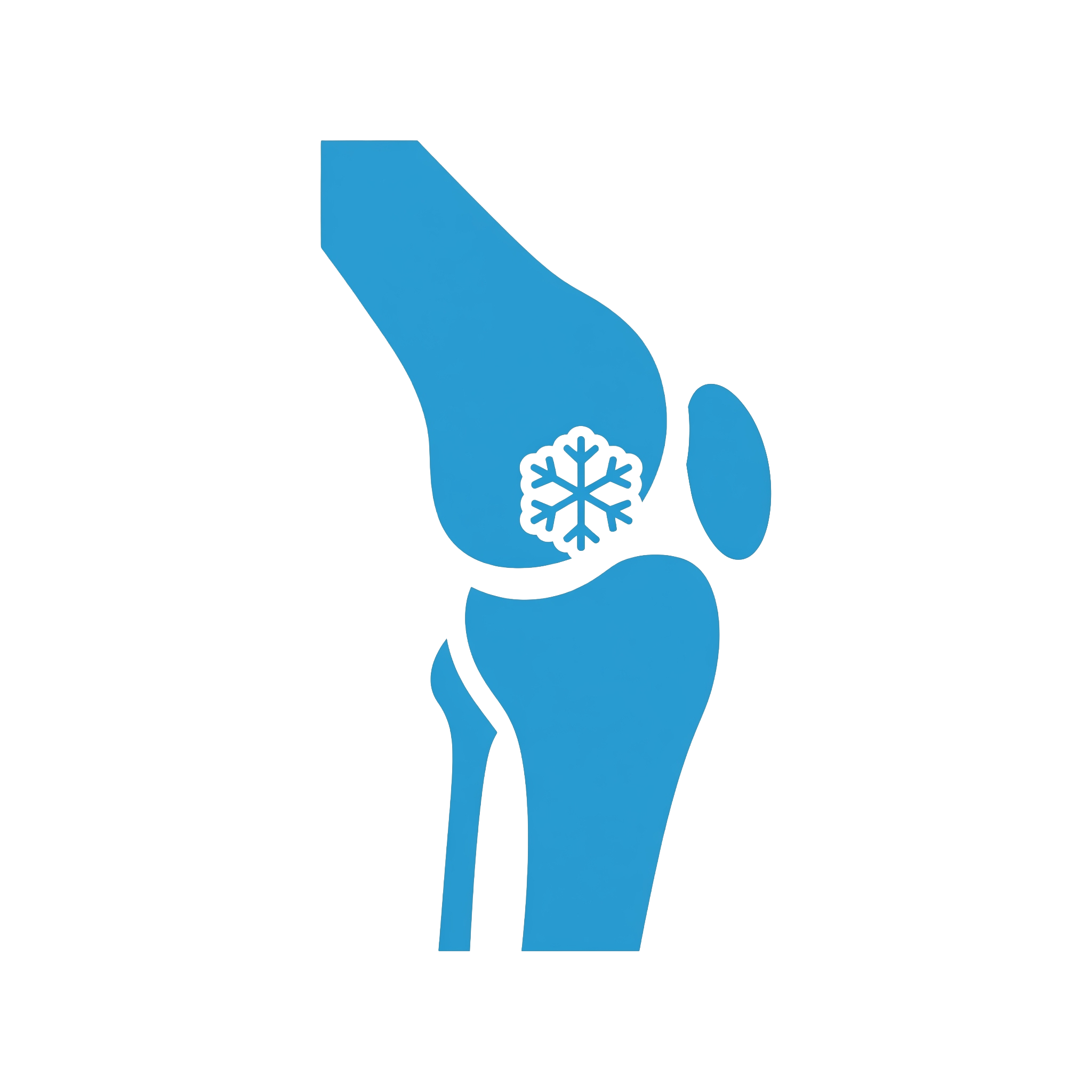 Knee-Icon-Trans