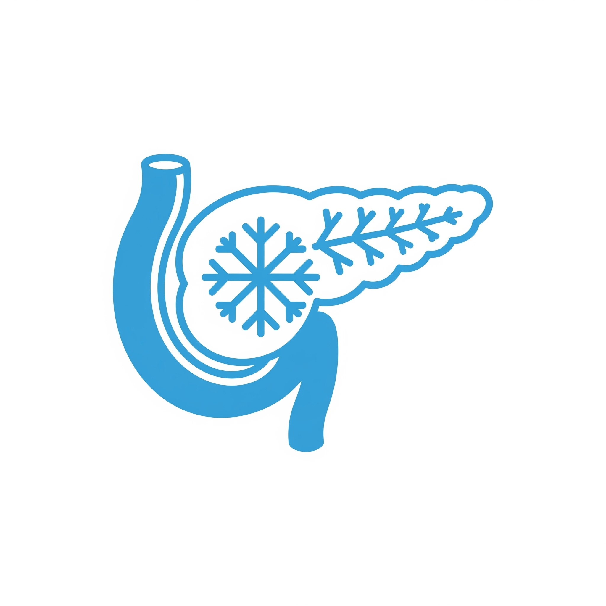 Pancreas-Snowflake
