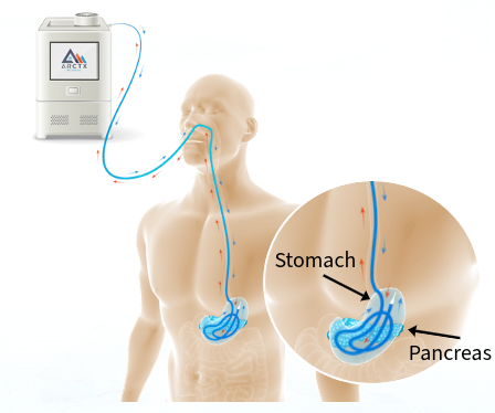 Stomach-Pancreas